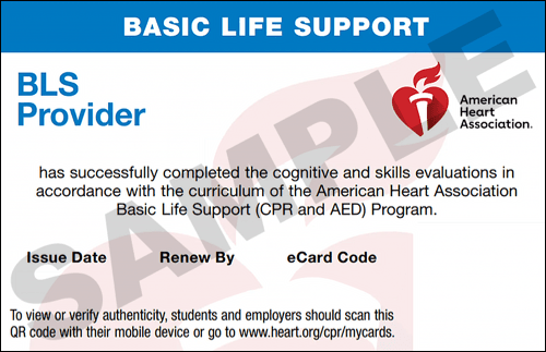 Sample American Heart Association AHA BLS CPR Card Certification from CPR Certification Pittsburgh