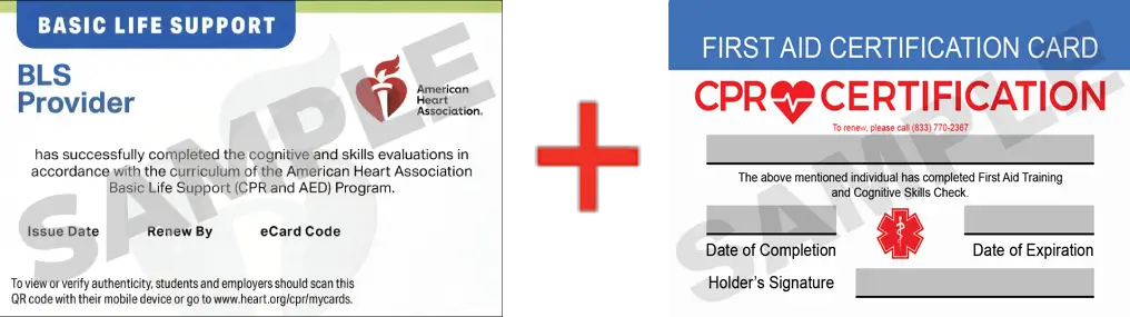 Sample American Heart Association AHA BLS CPR Card Certification and First Aid Certification Card from CPR Certification Pittsburgh