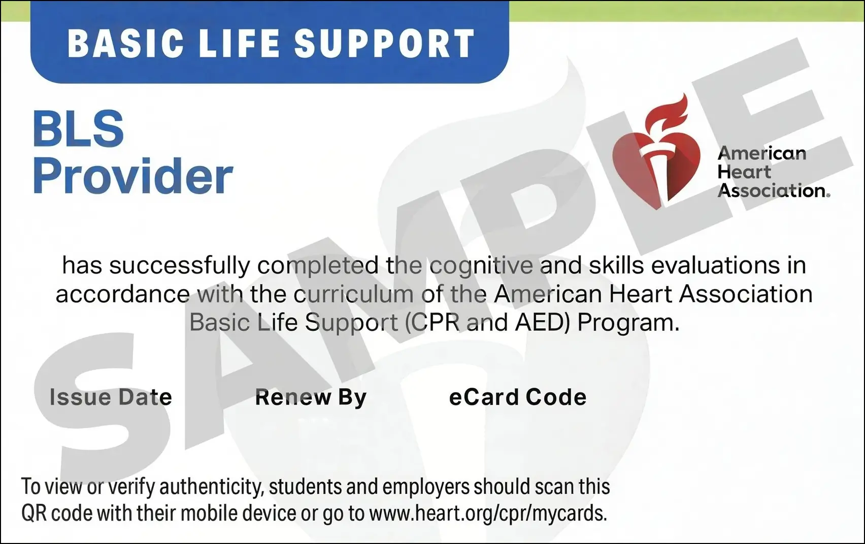 Sample American Heart Association AHA BLS CPR Card Certification from CPR Certification Pittsburgh